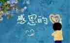 感恩有我作文800字精选5篇