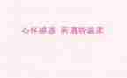 感恩教师的活动方案7篇