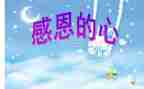 感恩班会主题教育活动总结5篇