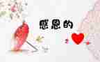 我最感激的人600字作文5篇