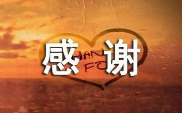 我感谢她作文600字精选5篇