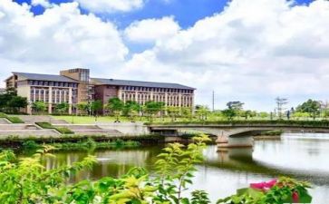 某高校教师的述职报告优秀5篇