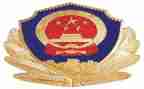 2023公安个人总结8篇