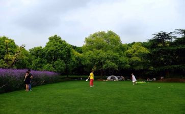 写公园的作文6篇