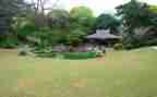 写公园的作文优质6篇