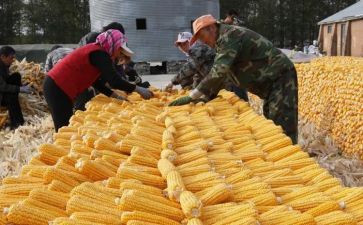 贸易购销合同精选5篇