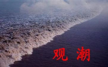 和观潮一样的作文400字作文8篇