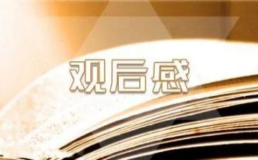 看安全教育片观后感优秀8篇