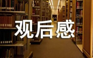 老师观后感600字8篇