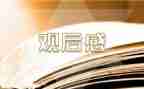 小学生公共安全观后感6篇