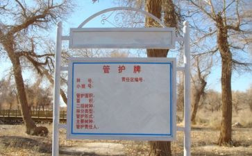 主管护师的年终总结8篇