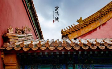 我在故宫作文模板7篇