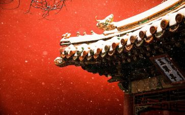 我在故宫作文精选6篇