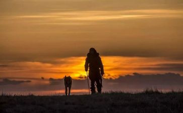 归途观后感优秀8篇