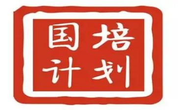 国培计划2023教师培训总结6篇