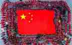 向国旗敬礼主题活动方案8篇