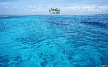 海峰湿地作文6篇