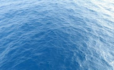 海峰湿地作文模板5篇
