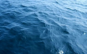《海》读后感600字优秀6篇