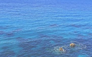 海的故事读后感8篇