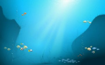 海底捞作文精选6篇