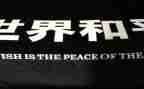 和平与战争读后感800字8篇