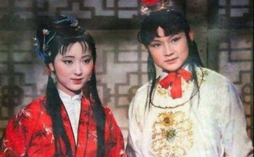 红楼梦读书心得800字7篇