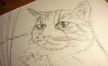 大班语言《画》教案8篇