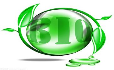 环保社活动心得体会优秀6篇