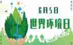 世界环境日活动总结8篇