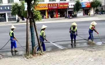 镇环卫工作个人总结精选7篇
