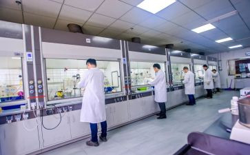 2024化验室年终总结最新5篇