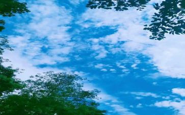 回忆性作文800字精选6篇