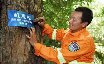 护林员年终工作报告6篇