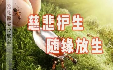 保护生命作文7篇