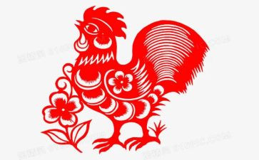 鸡蛋托教案5篇