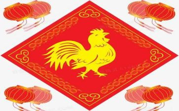 大班鸡与蛋的教案优质6篇