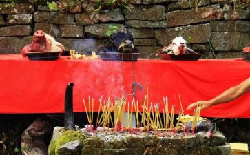 清明节网上祭祀活动方案7篇