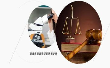 鉴定所个人年度总结8篇