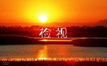 对照检视报告8篇