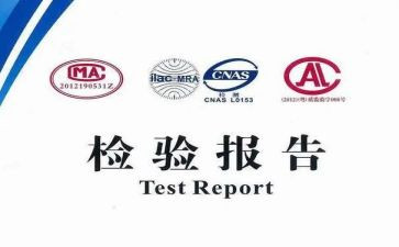 检验组工作总结通用8篇