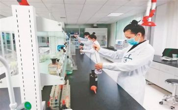 检验组工作总结参考5篇