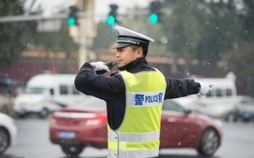 交警月活动总结7篇