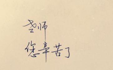2023教师年度个人总结精选5篇