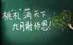新教师五个人工作总结通用6篇