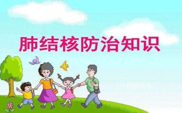 结核病工作半年总结7篇