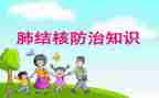 结核病工作半年总结7篇