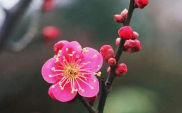 借物喻人作文600字7篇