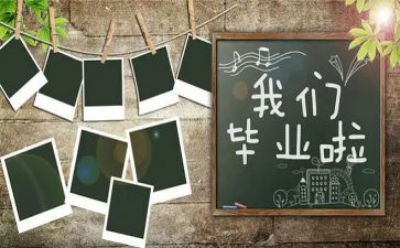 个人总结业务师6篇