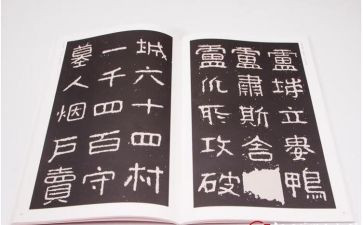 小学教师晋高级述职报告通用8篇